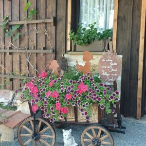 WhatsApp-Image-2026-07-16-at-18.54.42-2-300x300 Bilder & Impressionen