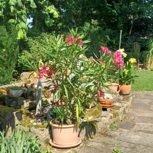WhatsApp-Image-2026-07-16-at-18.54.44-300x300 Bilder & Impressionen