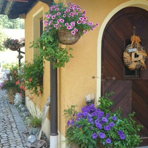 WhatsApp-Image-2026-07-16-at-18.54.45-1-300x300 Bilder & Impressionen