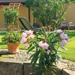 WhatsApp-Image-2026-07-16-at-18.54.45-300x300 Bilder & Impressionen