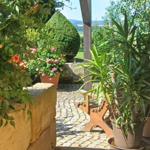 WhatsApp-Image-2026-07-16-at-18.54.47-2-300x300 Bilder & Impressionen
